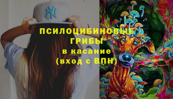 ПСИЛОЦИБИНОВЫЕ ГРИБЫ Нефтекумск