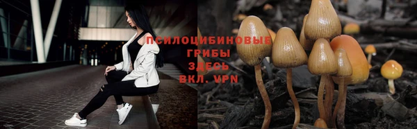 соль ск Нея