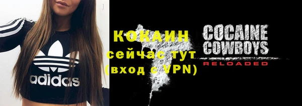 соль ск Нея